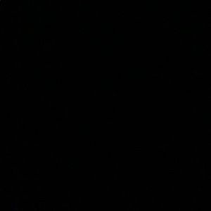 Meet your Posher, Bernie